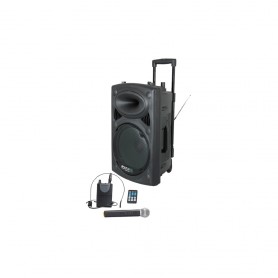 Ibiza Sistema audio portatile A BATTERIE con 2 microfoni UHF 700W 15-6082