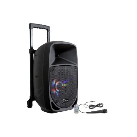 PARTY SISTEMA AUDIO PORTATILE A BATTERIE 8\'\' / 20CM - 300W CON USB, BLUETOOTH, FM & MICROFONO - 15-6100PLS