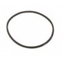 Cinghia Audioi quadrata 52mm x 1,2mm circonferenza 163,36mm