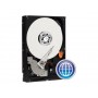 HARD DISK WD5000 500GB 3,5-SATA-3